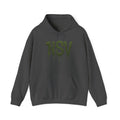NSV Drip Hoodie — “Forever 09 Blessed” Green Graphic Sweatshirt