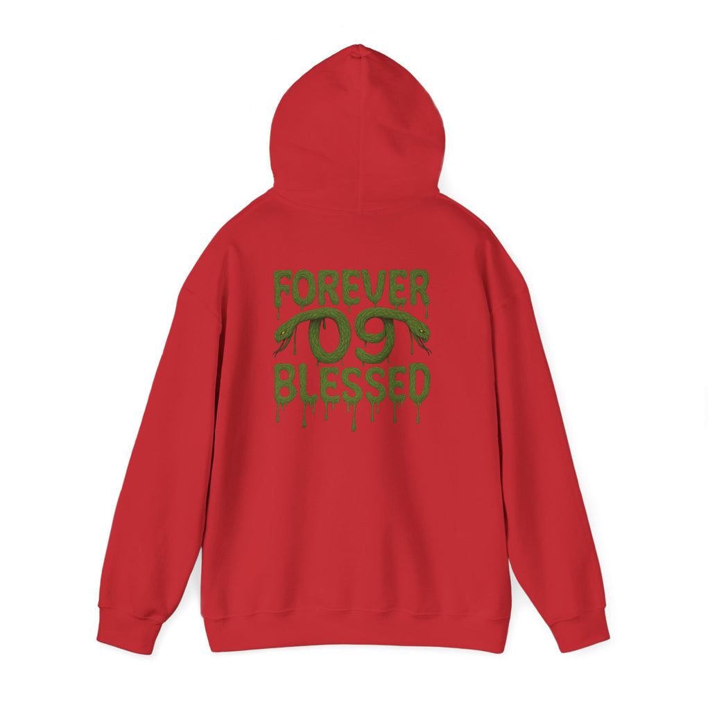 NSV Drip Hoodie — “Forever 09 Blessed” Green Graphic Sweatshirt