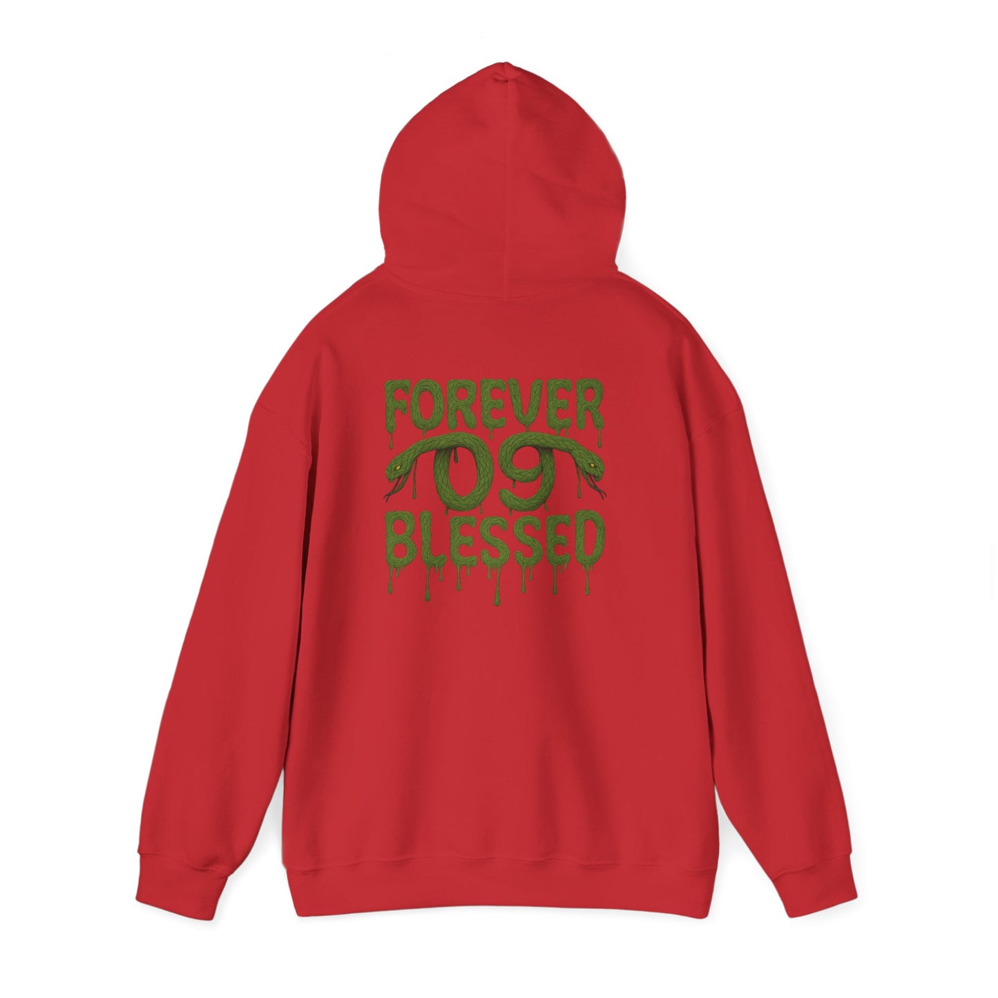 NSV Drip Hoodie — “Forever 09 Blessed” Green Graphic Sweatshirt