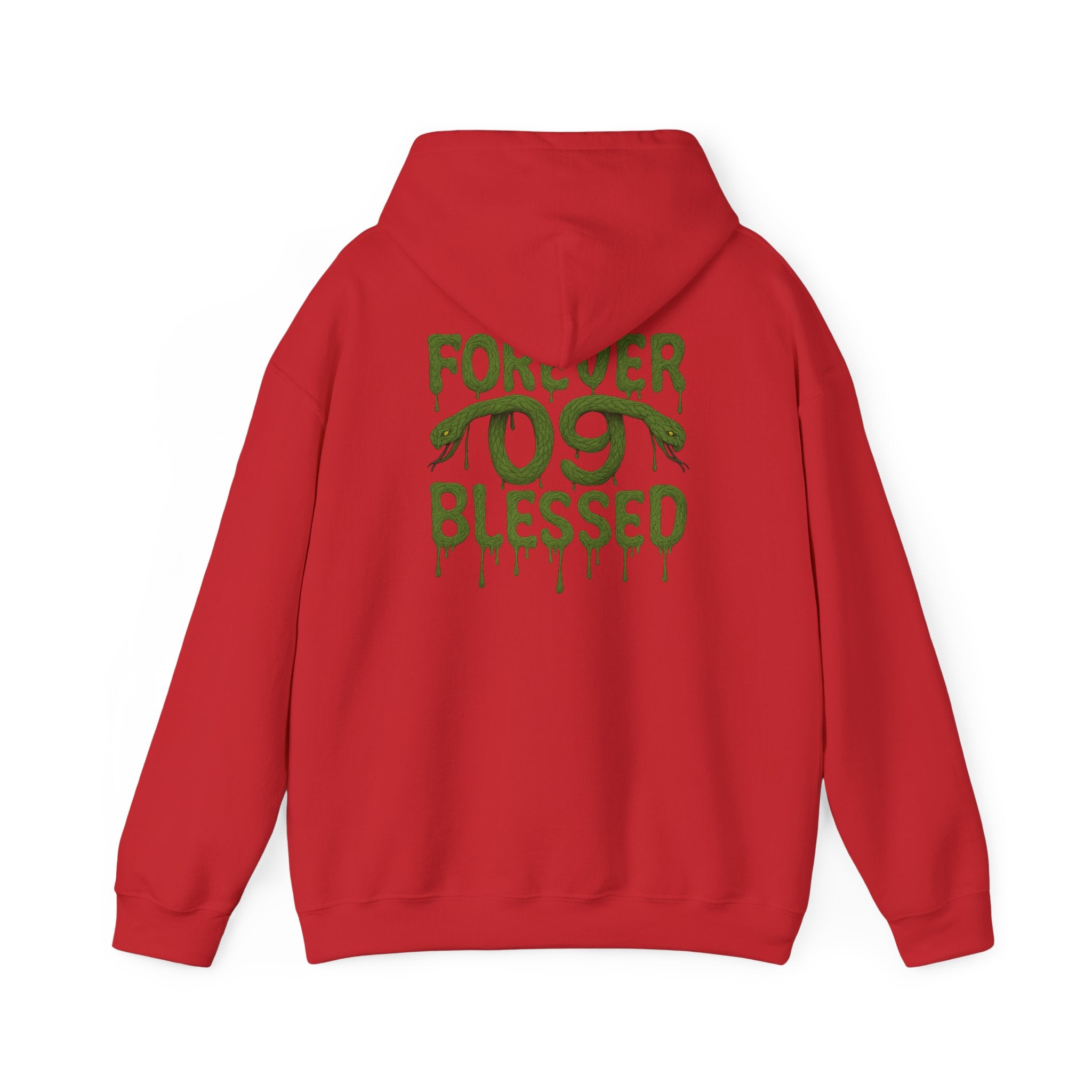 NSV Drip Hoodie — “Forever 09 Blessed” Green Graphic Sweatshirt
